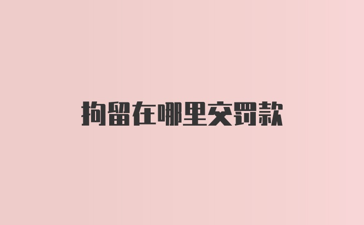 拘留在哪里交罚款