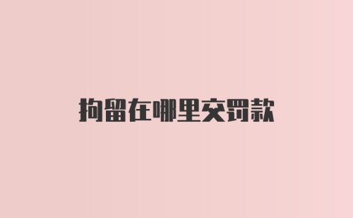 拘留在哪里交罚款