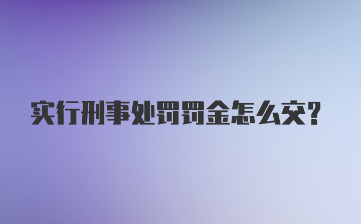 实行刑事处罚罚金怎么交？