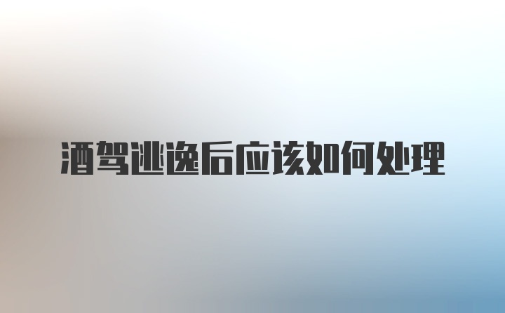 酒驾逃逸后应该如何处理