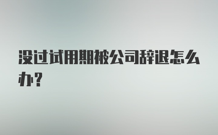 没过试用期被公司辞退怎么办？