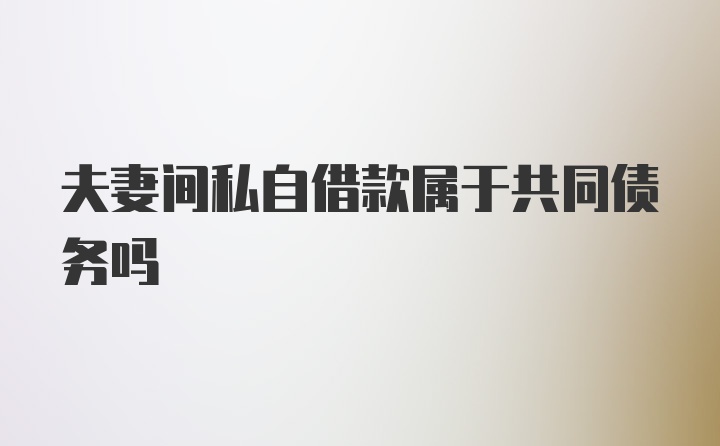 夫妻间私自借款属于共同债务吗