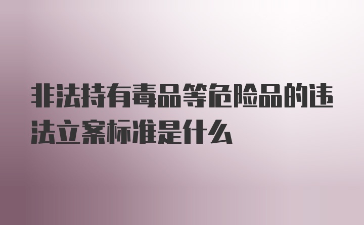 非法持有毒品等危险品的违法立案标准是什么