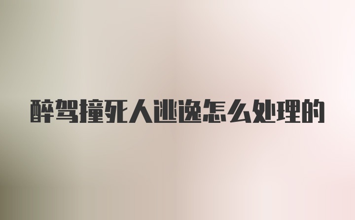 醉驾撞死人逃逸怎么处理的