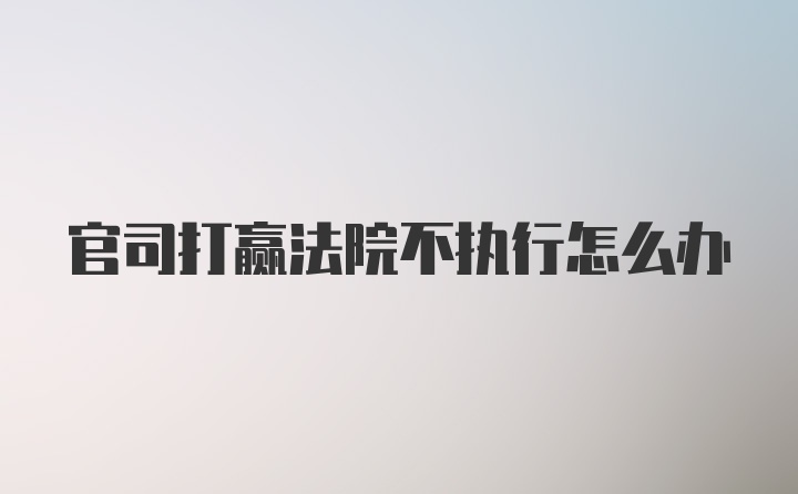 官司打赢法院不执行怎么办