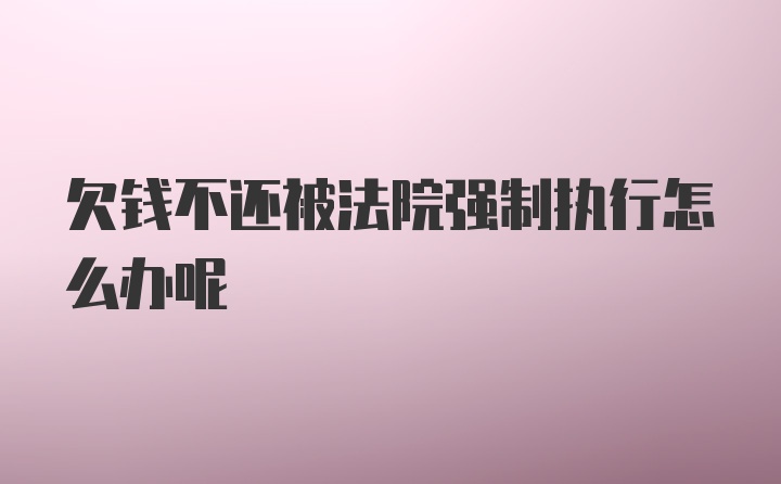 欠钱不还被法院强制执行怎么办呢