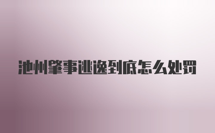 池州肇事逃逸到底怎么处罚