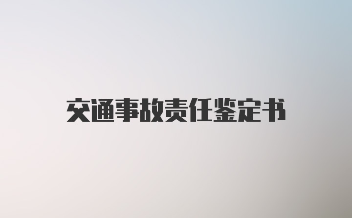 交通事故责任鉴定书