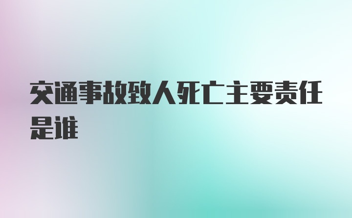 交通事故致人死亡主要责任是谁