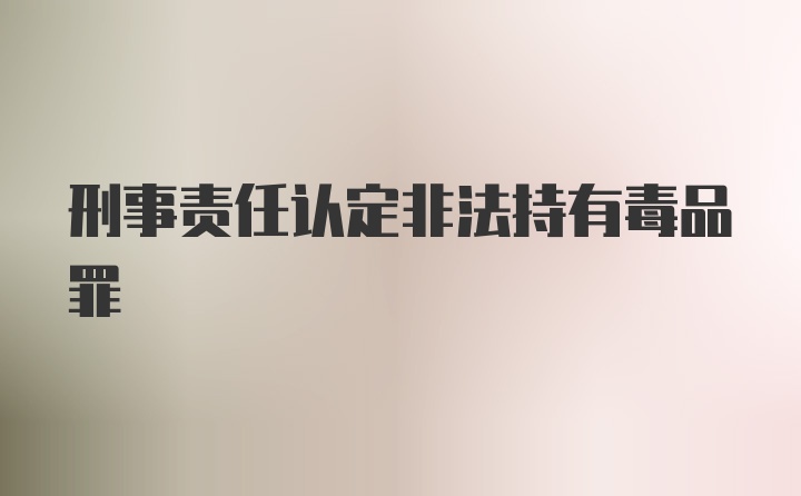 刑事责任认定非法持有毒品罪