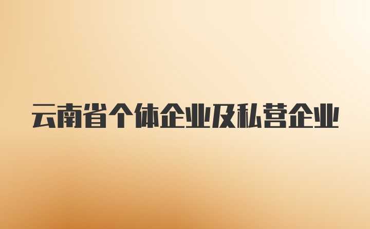 云南省个体企业及私营企业