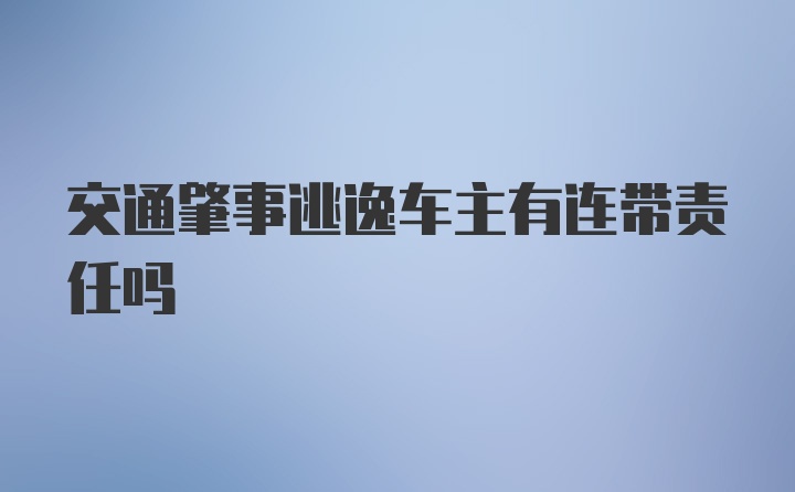 交通肇事逃逸车主有连带责任吗