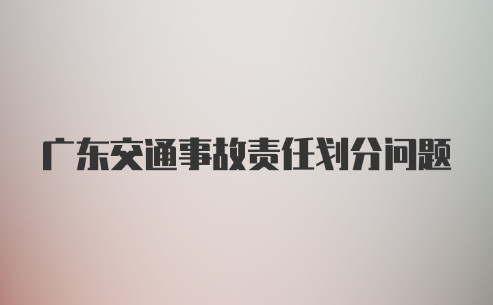 广东交通事故责任划分问题