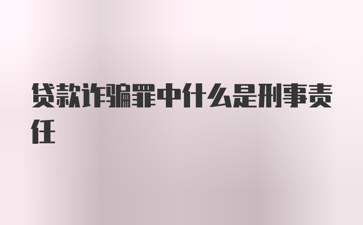 贷款诈骗罪中什么是刑事责任