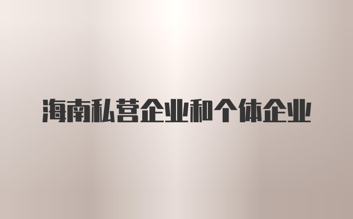 海南私营企业和个体企业