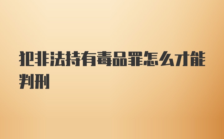 犯非法持有毒品罪怎么才能判刑