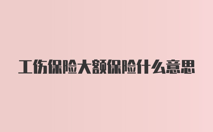 工伤保险大额保险什么意思