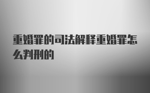 重婚罪的司法解释重婚罪怎么判刑的