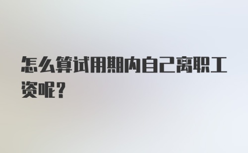 怎么算试用期内自己离职工资呢？