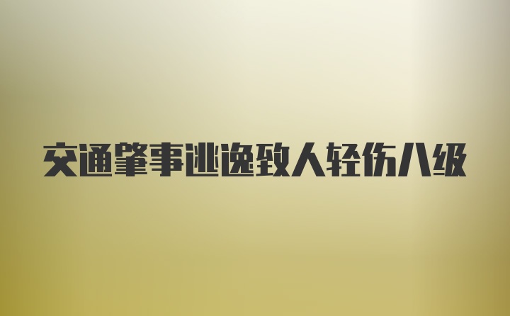 交通肇事逃逸致人轻伤八级