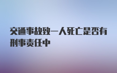 交通事故致一人死亡是否有刑事责任中