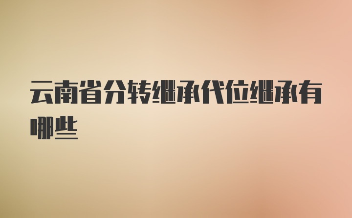 云南省分转继承代位继承有哪些