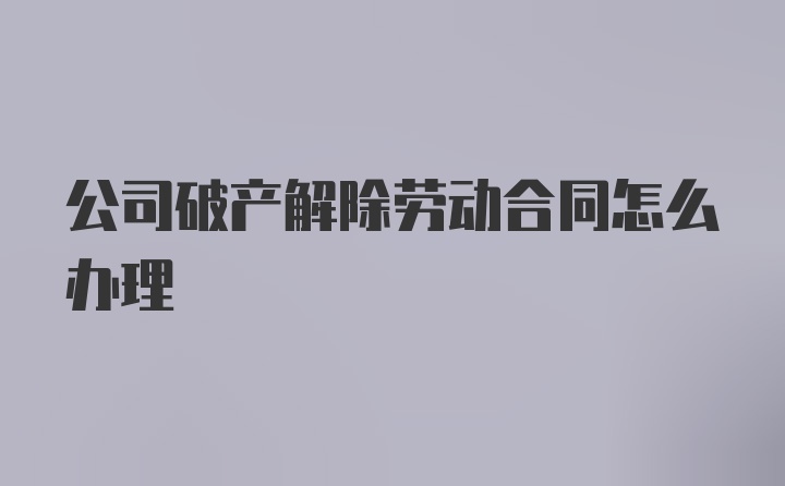 公司破产解除劳动合同怎么办理