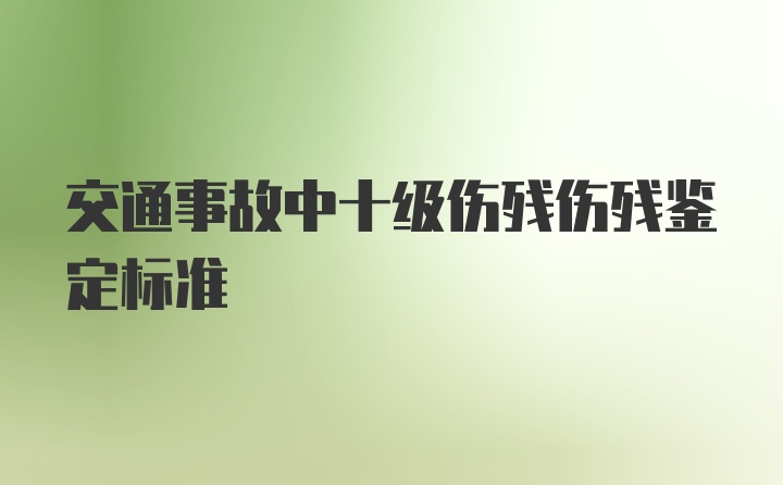 交通事故中十级伤残伤残鉴定标准