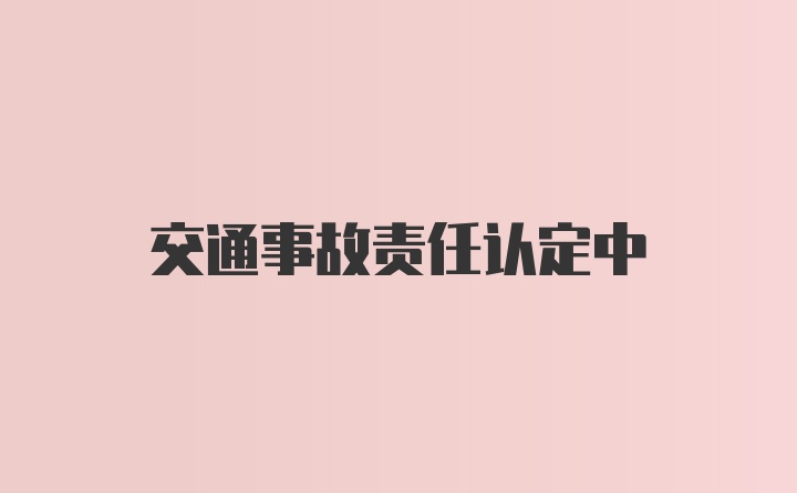 交通事故责任认定中