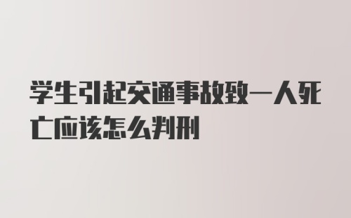 学生引起交通事故致一人死亡应该怎么判刑