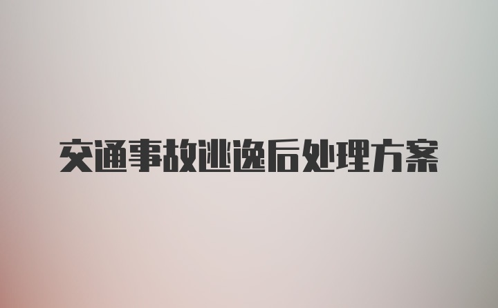 交通事故逃逸后处理方案