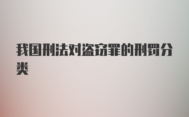 我国刑法对盗窃罪的刑罚分类