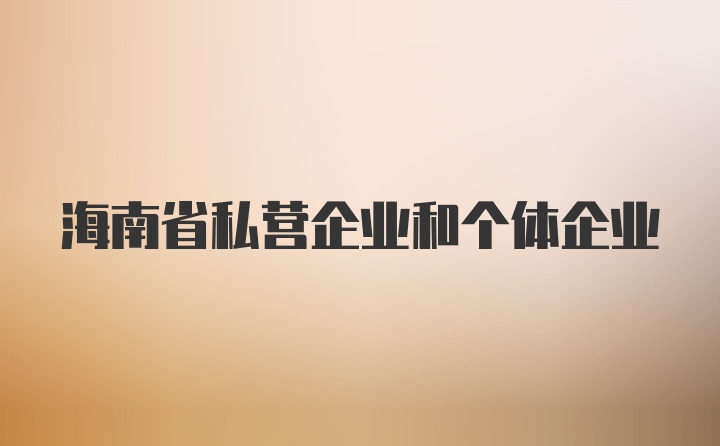 海南省私营企业和个体企业