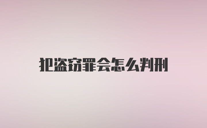 犯盗窃罪会怎么判刑