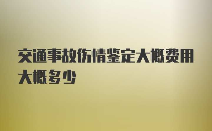 交通事故伤情鉴定大概费用大概多少