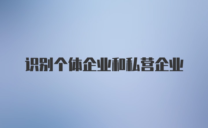 识别个体企业和私营企业