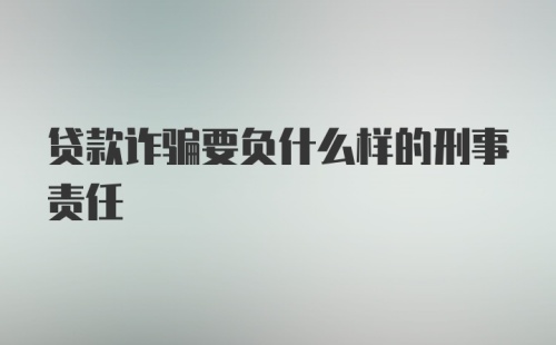 贷款诈骗要负什么样的刑事责任