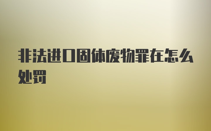 非法进口固体废物罪在怎么处罚