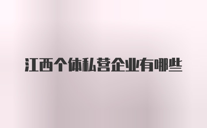 江西个体私营企业有哪些