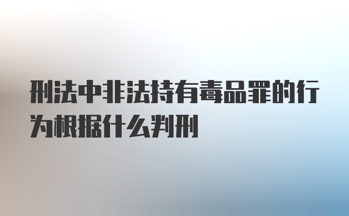 刑法中非法持有毒品罪的行为根据什么判刑