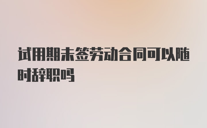 试用期未签劳动合同可以随时辞职吗