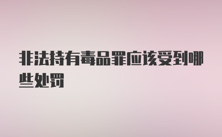 非法持有毒品罪应该受到哪些处罚