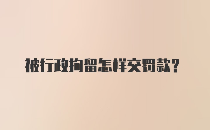 被行政拘留怎样交罚款？