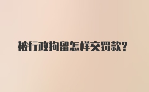 被行政拘留怎样交罚款？