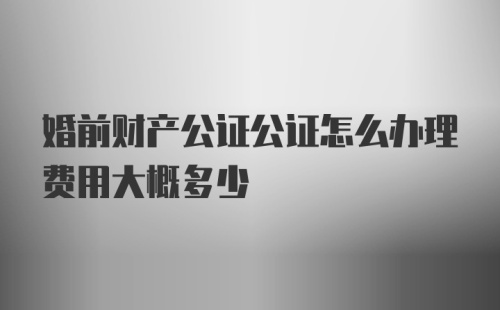 婚前财产公证公证怎么办理费用大概多少