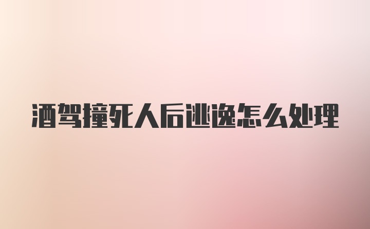 酒驾撞死人后逃逸怎么处理