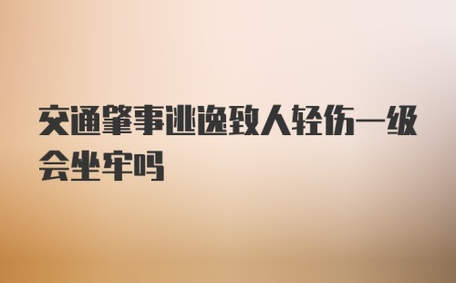 交通肇事逃逸致人轻伤一级会坐牢吗