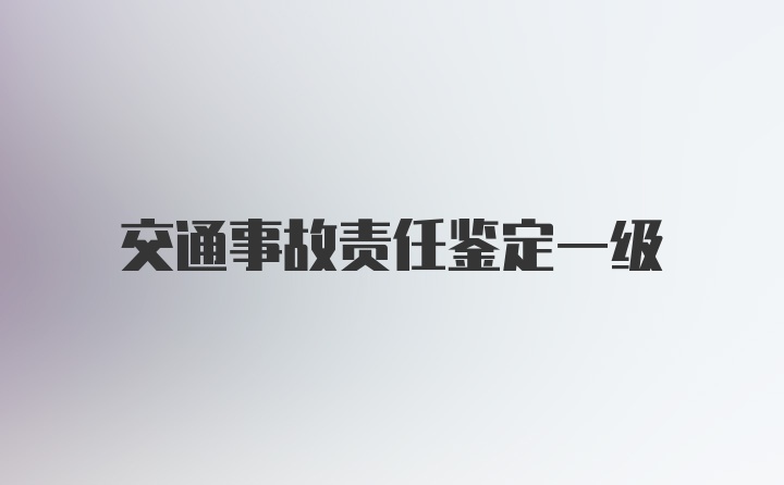 交通事故责任鉴定一级