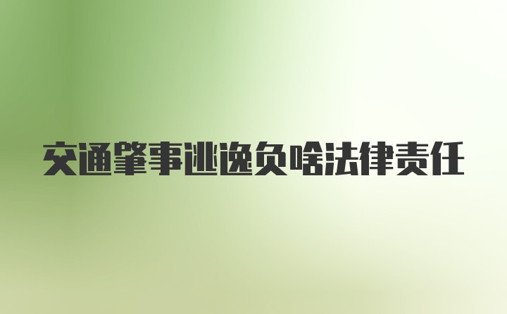 交通肇事逃逸负啥法律责任