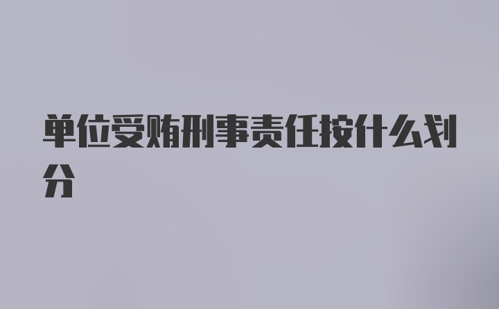 单位受贿刑事责任按什么划分